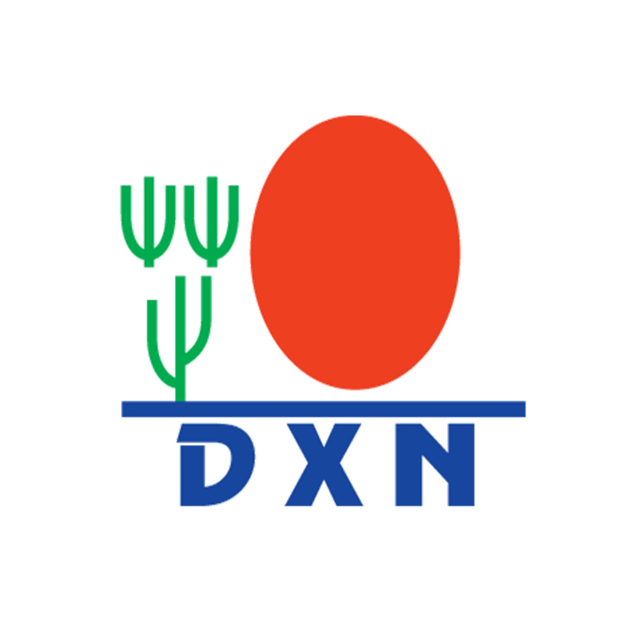 ما هي شركة DXN